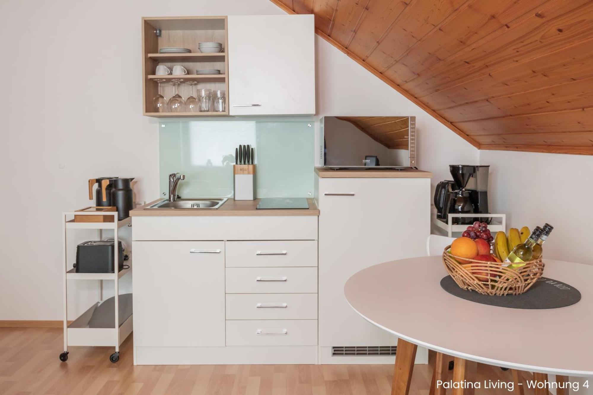 Palatina Living Apartment Fischbach bei Dahn ภายนอก รูปภาพ