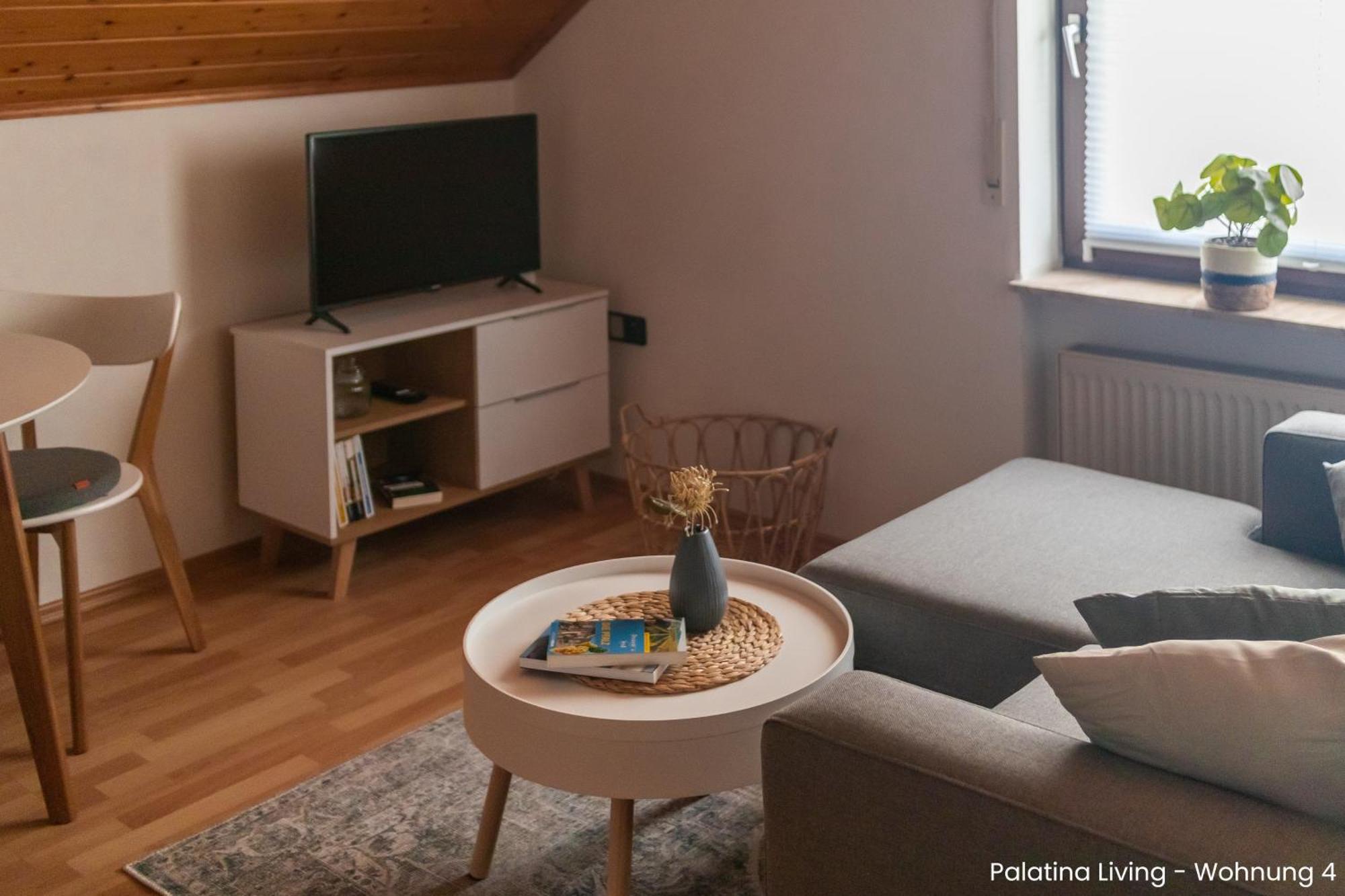 Palatina Living Apartment Fischbach bei Dahn ภายนอก รูปภาพ