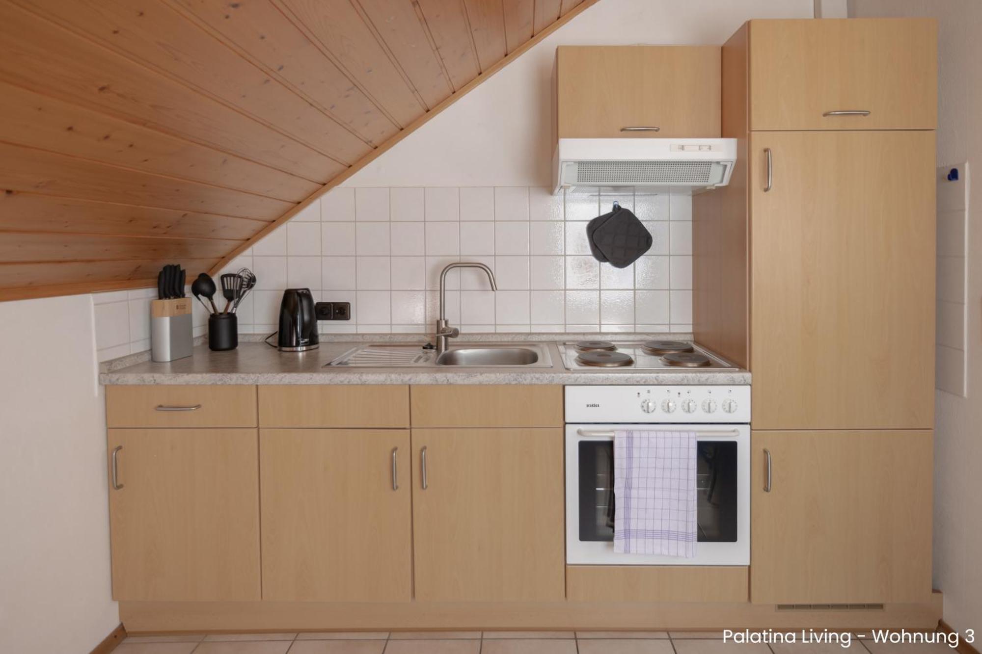 Palatina Living Apartment Fischbach bei Dahn ภายนอก รูปภาพ