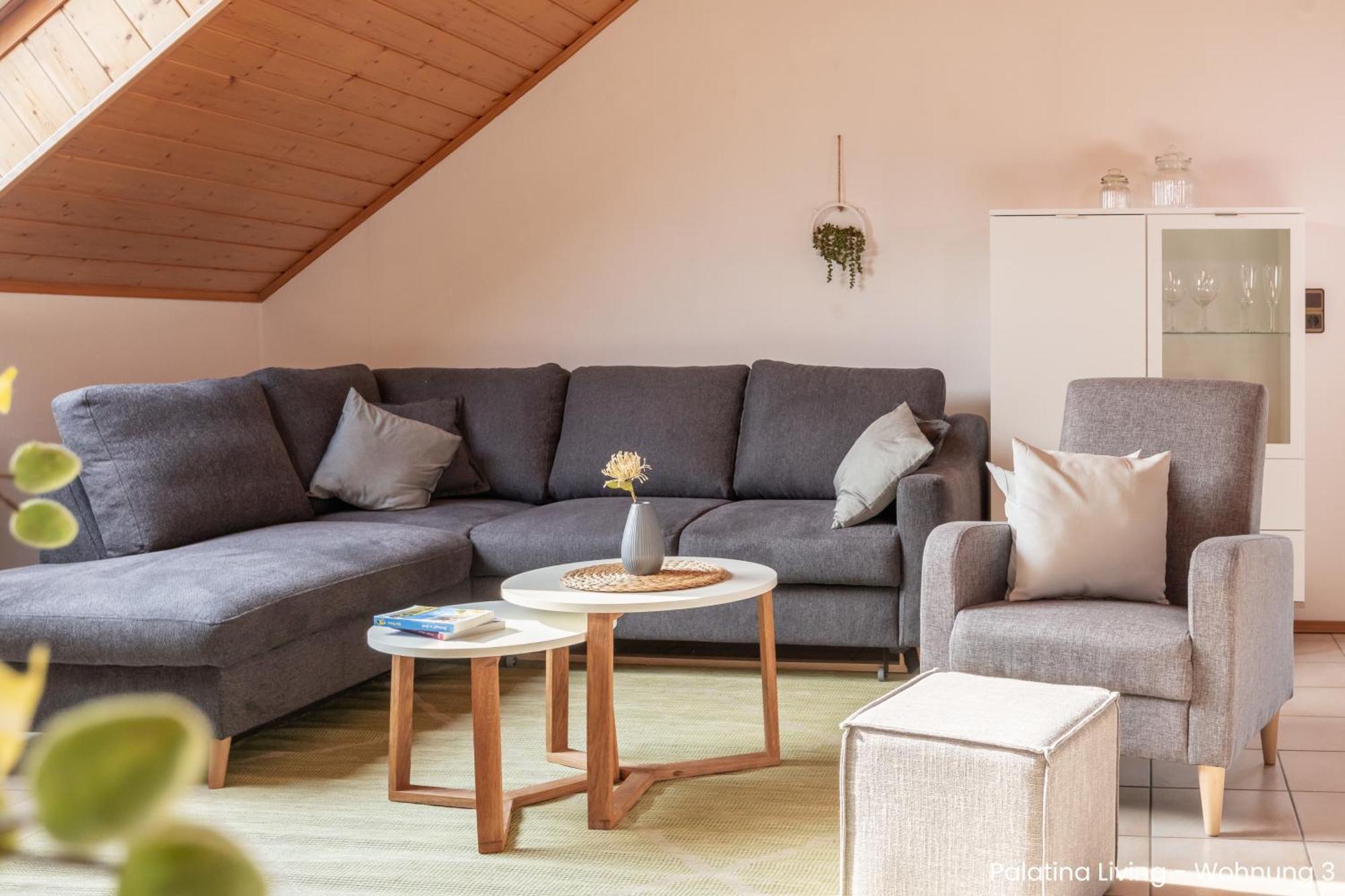 Palatina Living Apartment Fischbach bei Dahn ภายนอก รูปภาพ