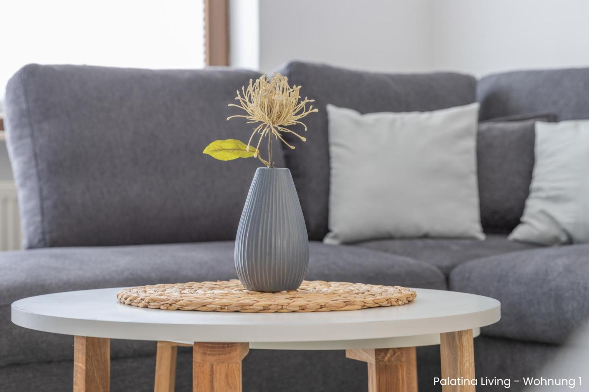 Palatina Living Apartment Fischbach bei Dahn ภายนอก รูปภาพ